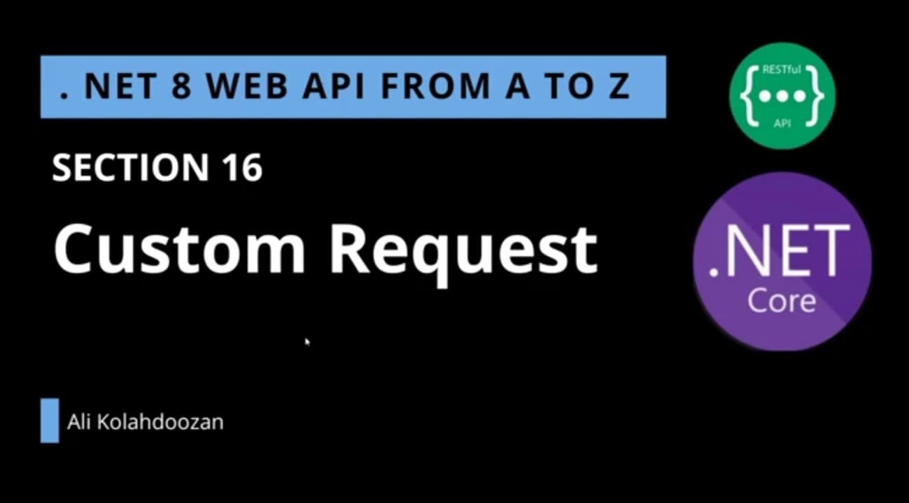 .NET 8Web API - Custom Request